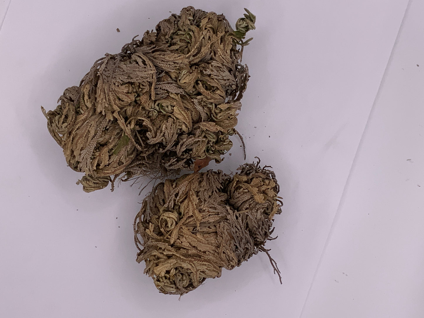 LOOSE HERB COLLECTION